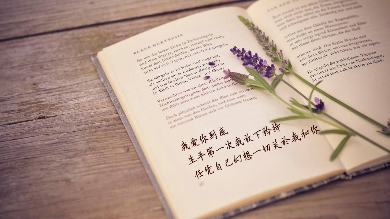 面试google面了三次_google面试多久出结果 - google相关 - 55dz账号网