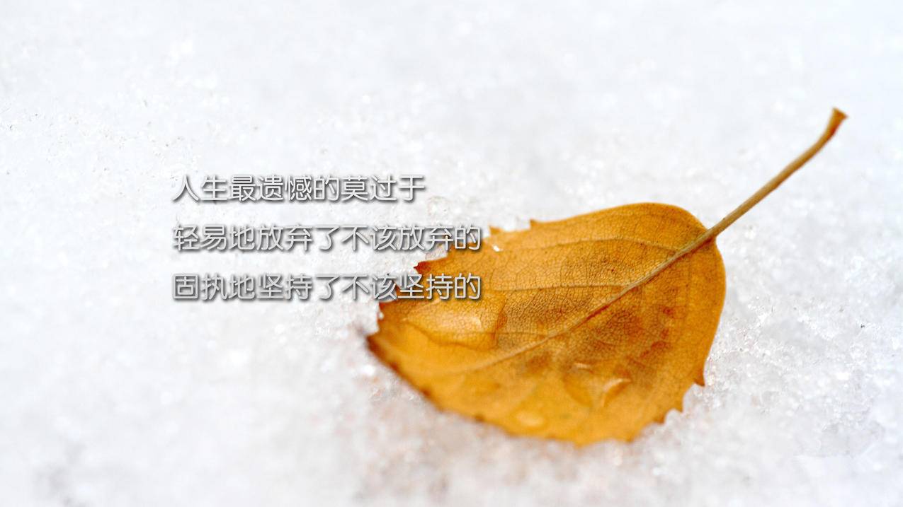 千川如何投放玩具类目？ - 低价业务 - dy业务网