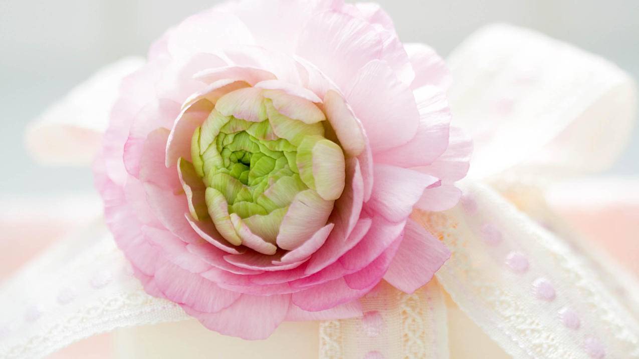 快手浏览量代刷网 - 快手免费代刷网站推广链接,快手粉丝刷取网站免费,快手刷赞在线网络平台,快手刷赞网站3块1w