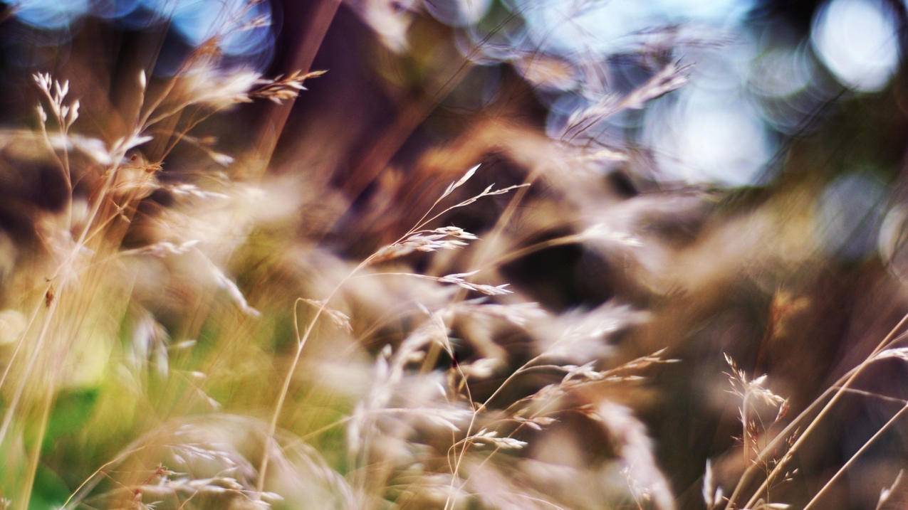 zoom气垫气压多少_zoom气垫适合多大体重 - zoom相关 - 55dz账号网