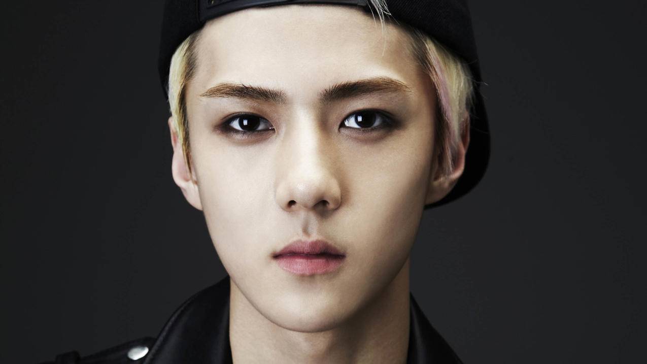 苹果id免费账号密码大全越南（苹果id免费账号密码大全越南版） - 各区苹果ID - 55dz账号网