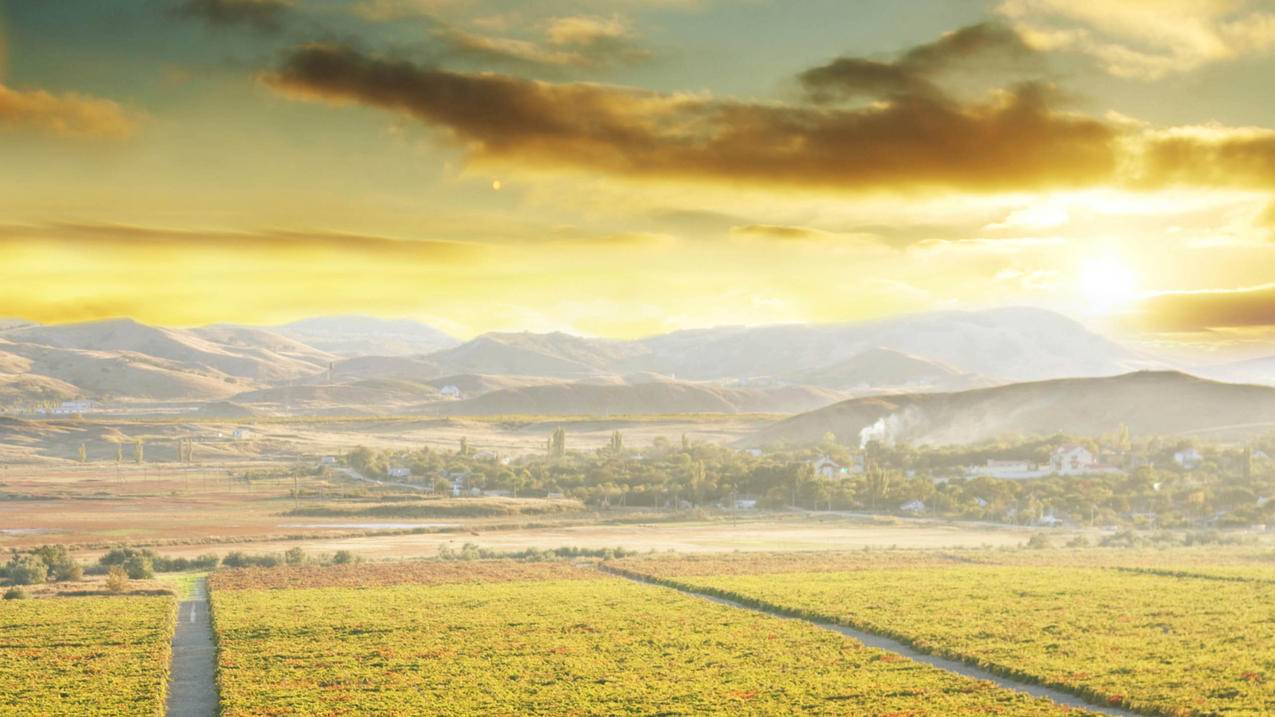 越南苹果id首次使用检查检查不出啦 - 各区苹果ID - 55dz账号网