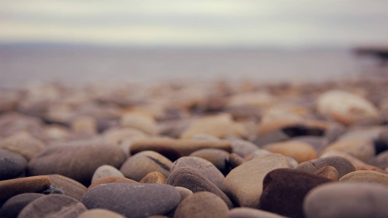 facebook搜索名字找不到_facebook公共主页搜索不到 - facebook相关 - 55dz账号网