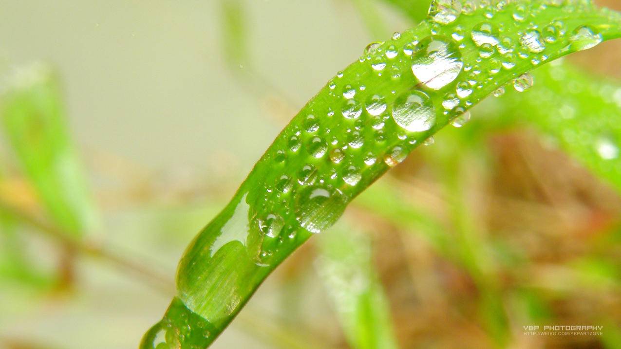 韩国苹果id不知道密码怎么办?_不知道iphone的id密码怎么办 - 韩国苹果id - 55dz账号网