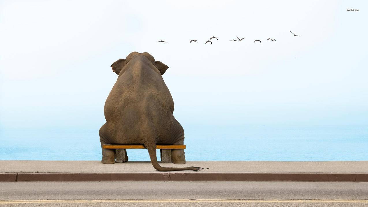 苹果手机appleid密码忘了_苹果手机appleid密码忘了怎么办视频 - Apple ID相关 - 55dz账号网