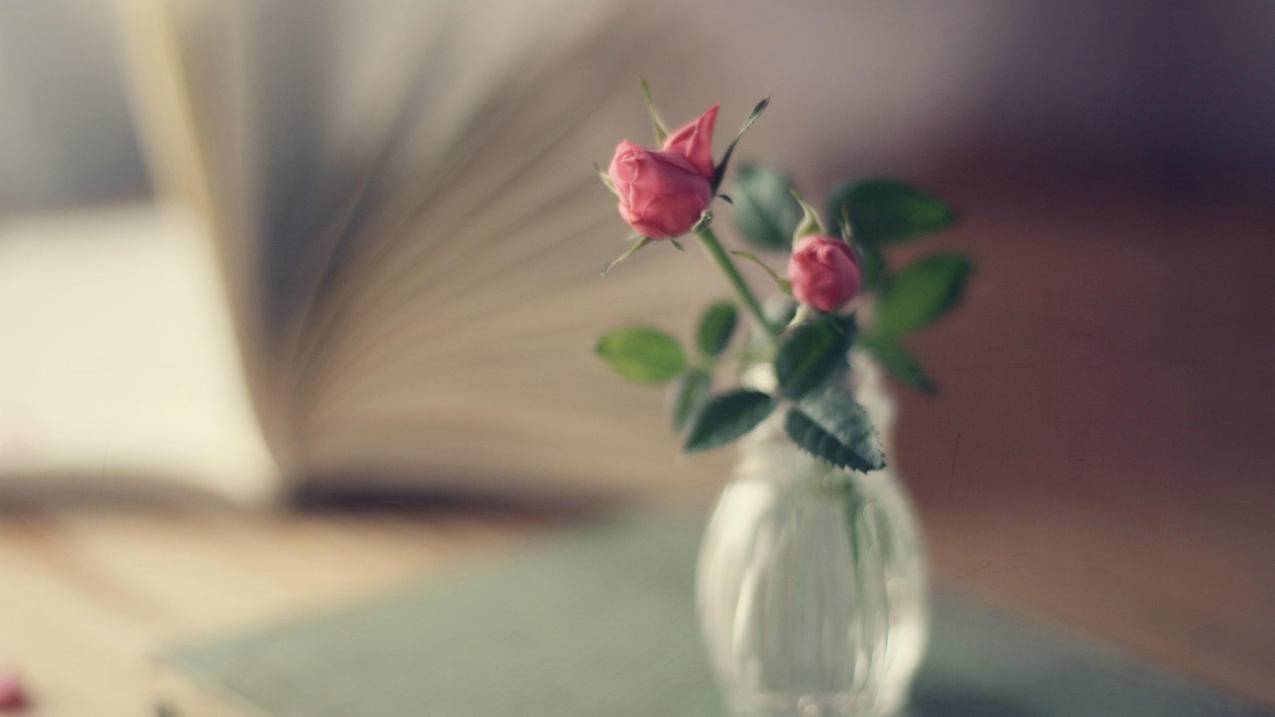 快手只刷赞会被和谐吗-全网最低自助下单平台,快手在线刷业务平台,0.1元一万空间赞