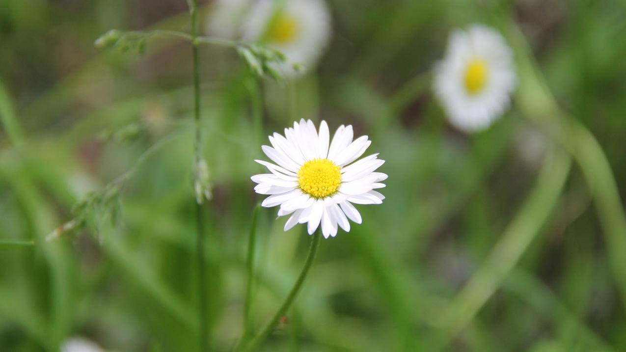 越南苹果id里有钱还要兑换码 - 各区苹果ID - 55dz账号网