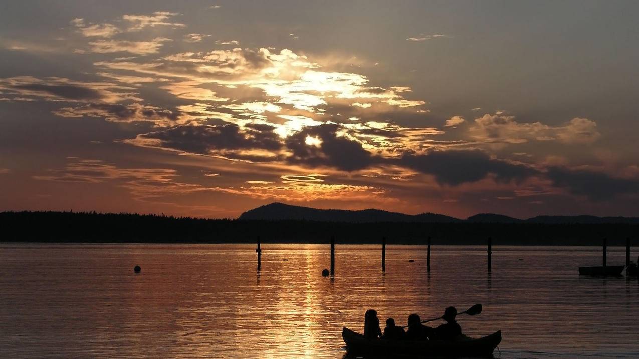 如何调出ins的图片_ins风的图片怎么调 - INS相关 - 55dz账号网