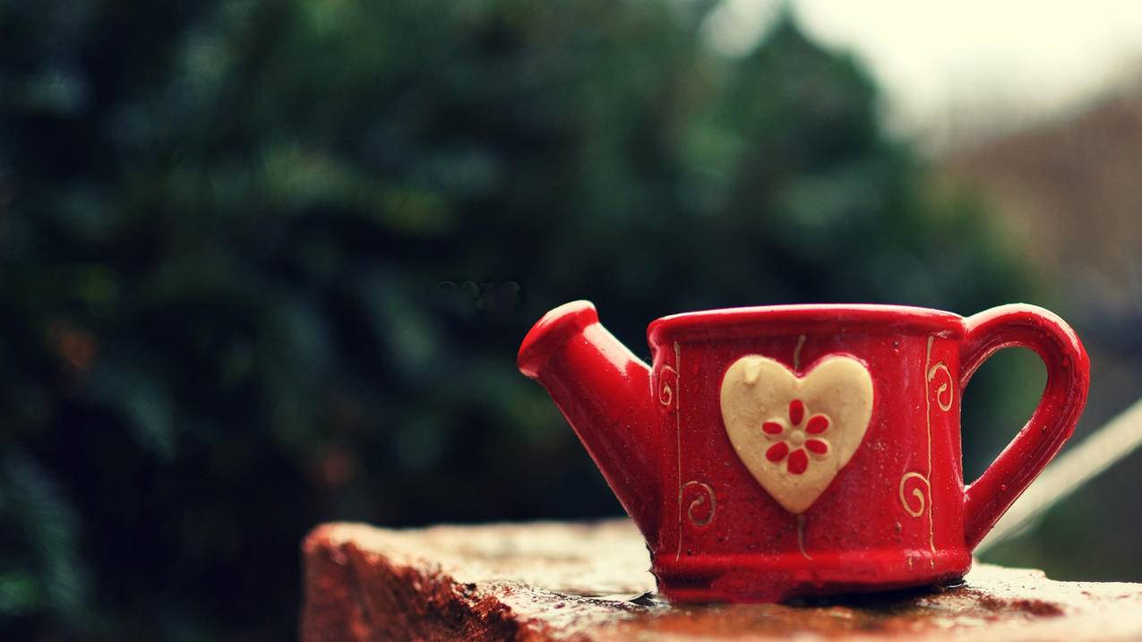 越南苹果id不显示名字怎么设置 - 各区苹果ID - 55dz账号网