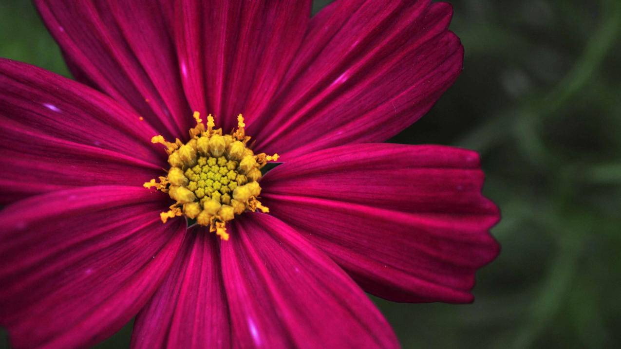 登陆同一个越南苹果id照片会同步吗（登陆同一个越南苹果id照片会同步吗） - 各区苹果ID - 55dz账号网