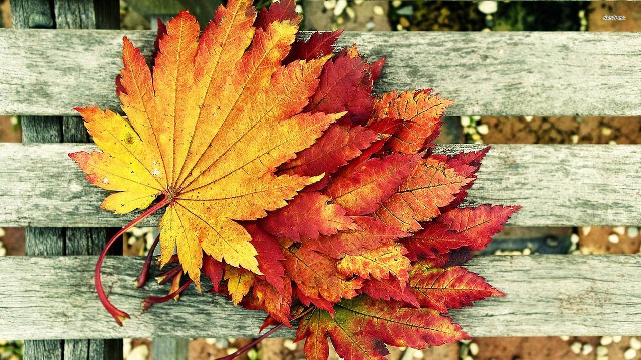 Switch美服shopping（剁手）攻略 - Apple ID相关 - 55dz账号网