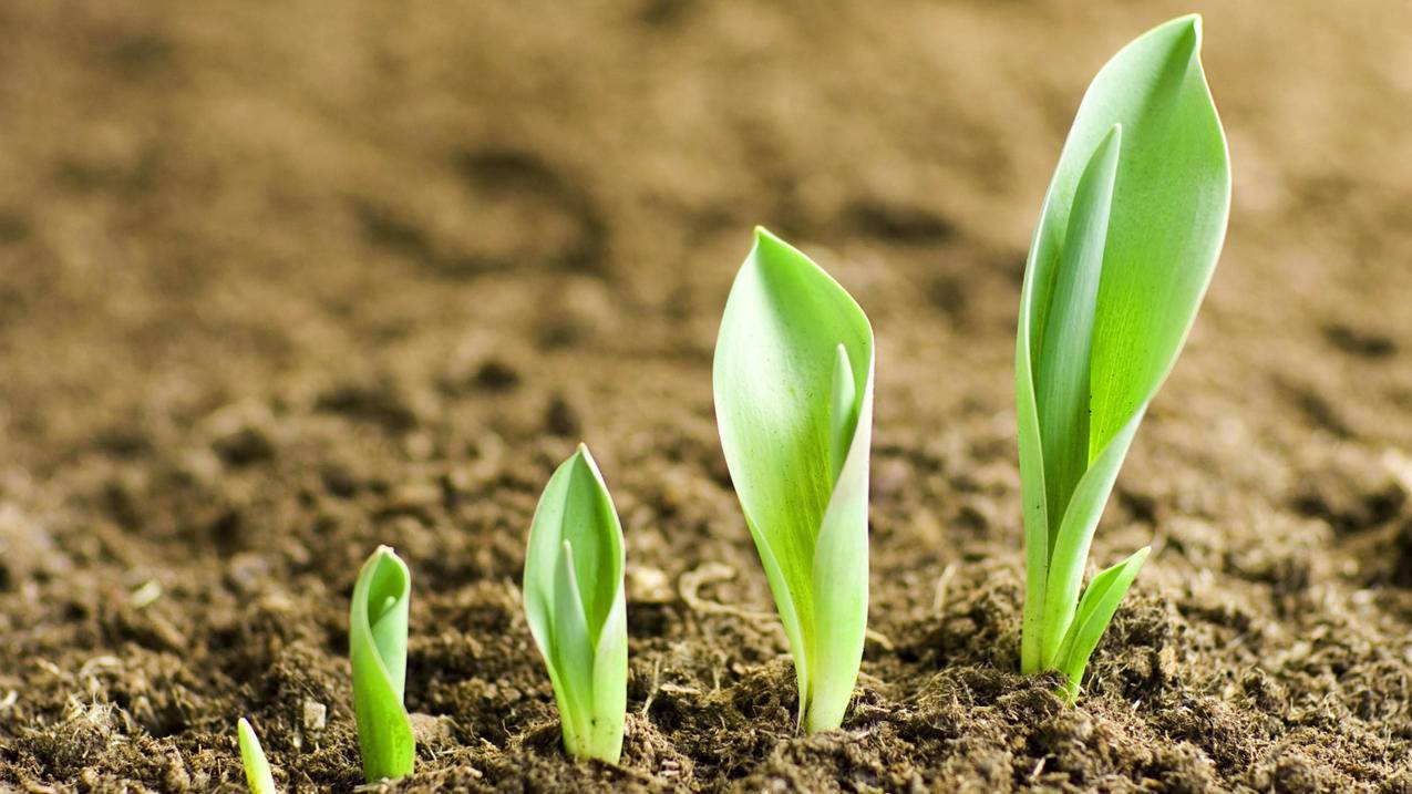 快手粉色代刷网 - qq刷赞免费平台推广-快手刷赞0.5元100个赞星辰-qq个性标签圈圈刷赞网站