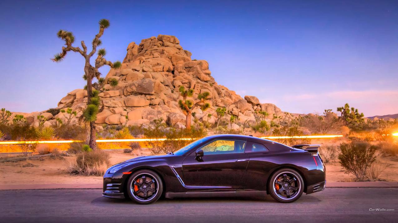 163邮箱注册怎么填写_163邮箱账号怎么填写 - gmail相关 - 55dz账号网