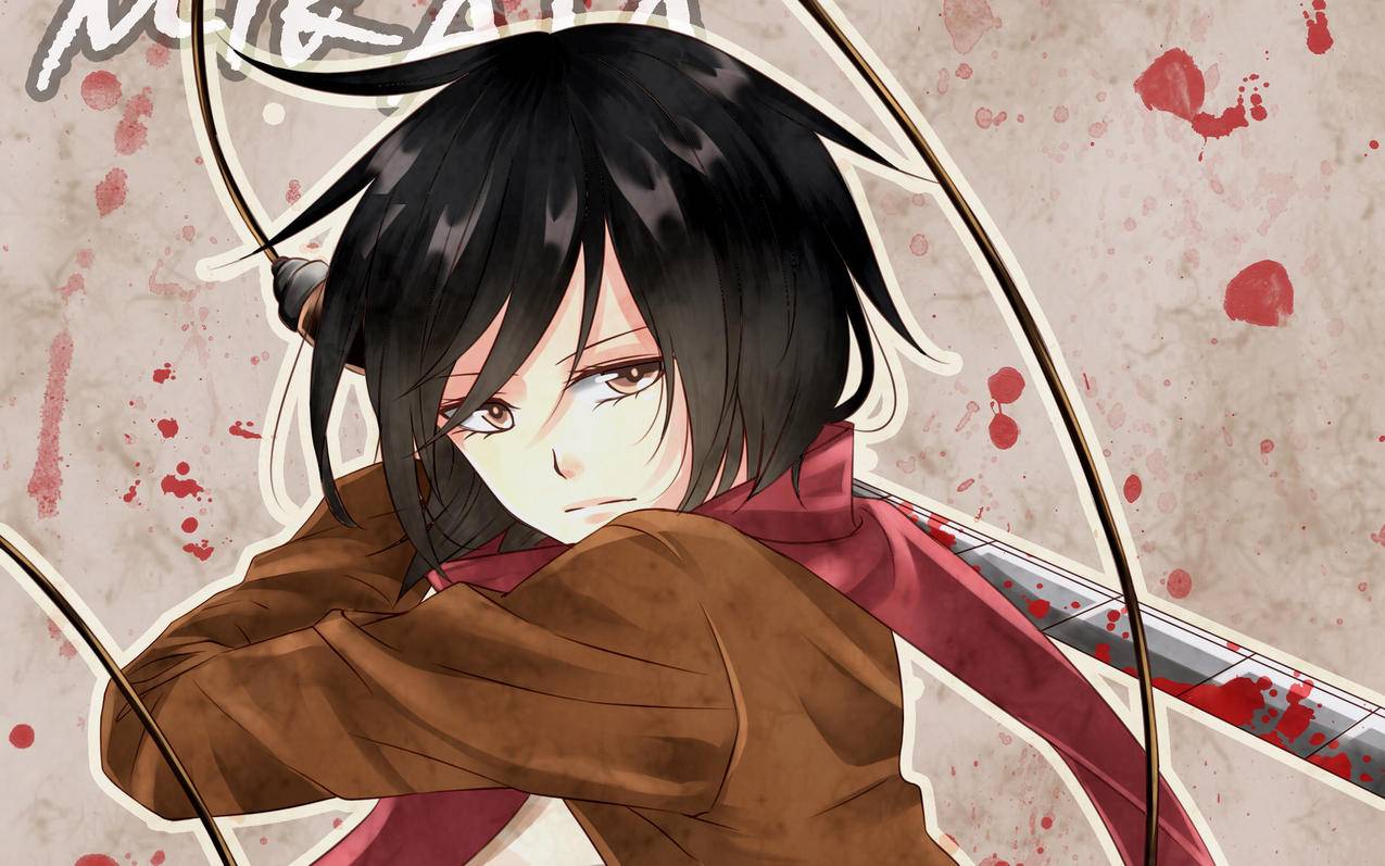 skype苹果版下载后登录不了_iphone下载了skype登陆不上怎么办 - skype相关 - 55dz账号网