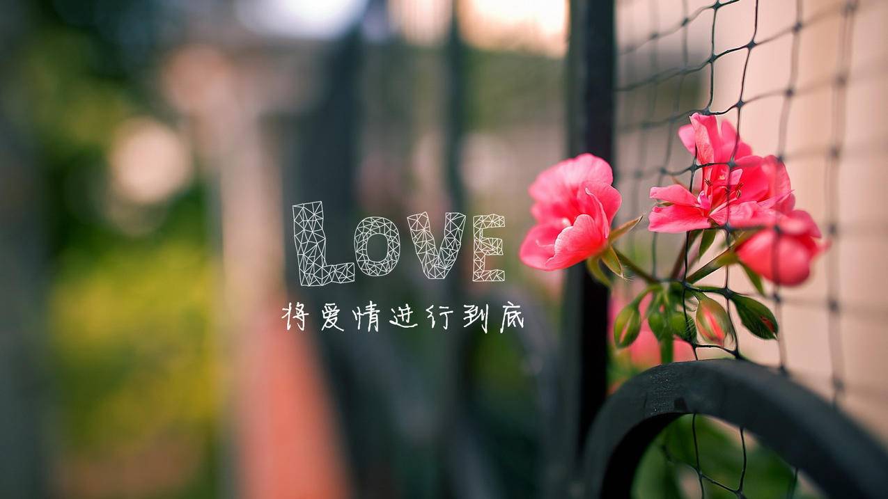 一个韩国苹果id怎么不共享照片_苹果共用一个id照片怎么不共享 - 韩国苹果id - APPid共享网