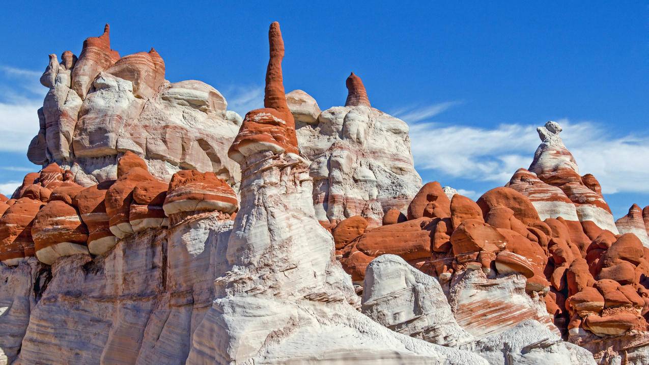 zoomjessie歌词_zoom zoom zoom 歌词 - zoom相关 - 55dz账号网