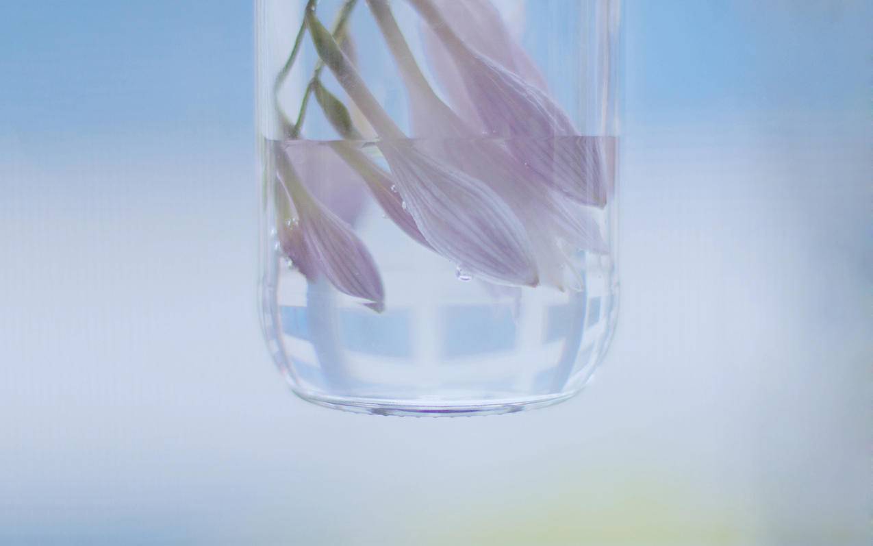 国内无法登录tiktok_国内无法登录谷歌邮箱 - 苹果APP下载 - 55dz账号网