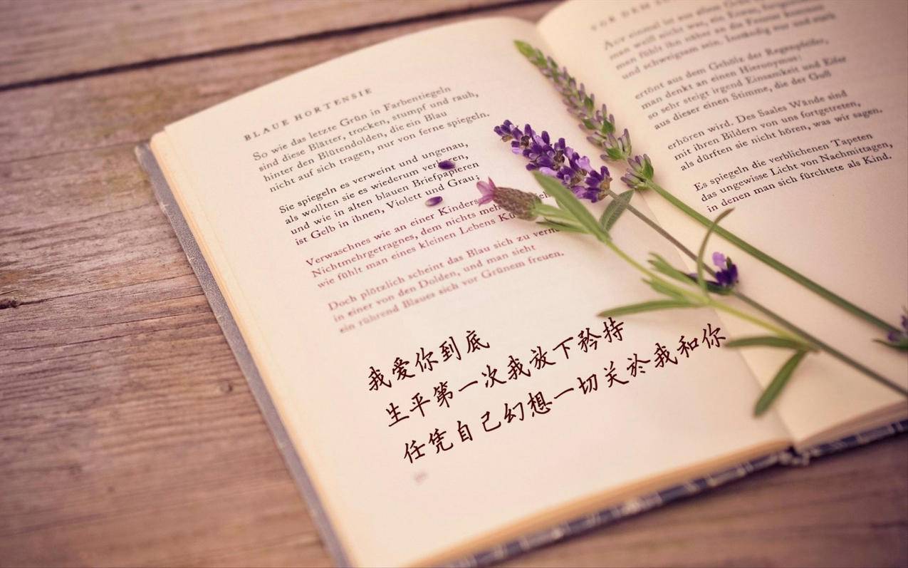 什么是抖音选品表-dy业务网