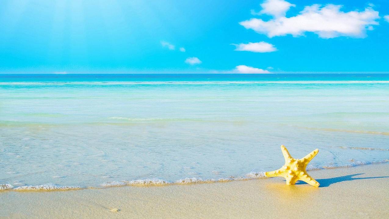 怎么搬运油管视频到B站_怎么搬运油管视频到b站上 - youtube相关 - 55dz账号网