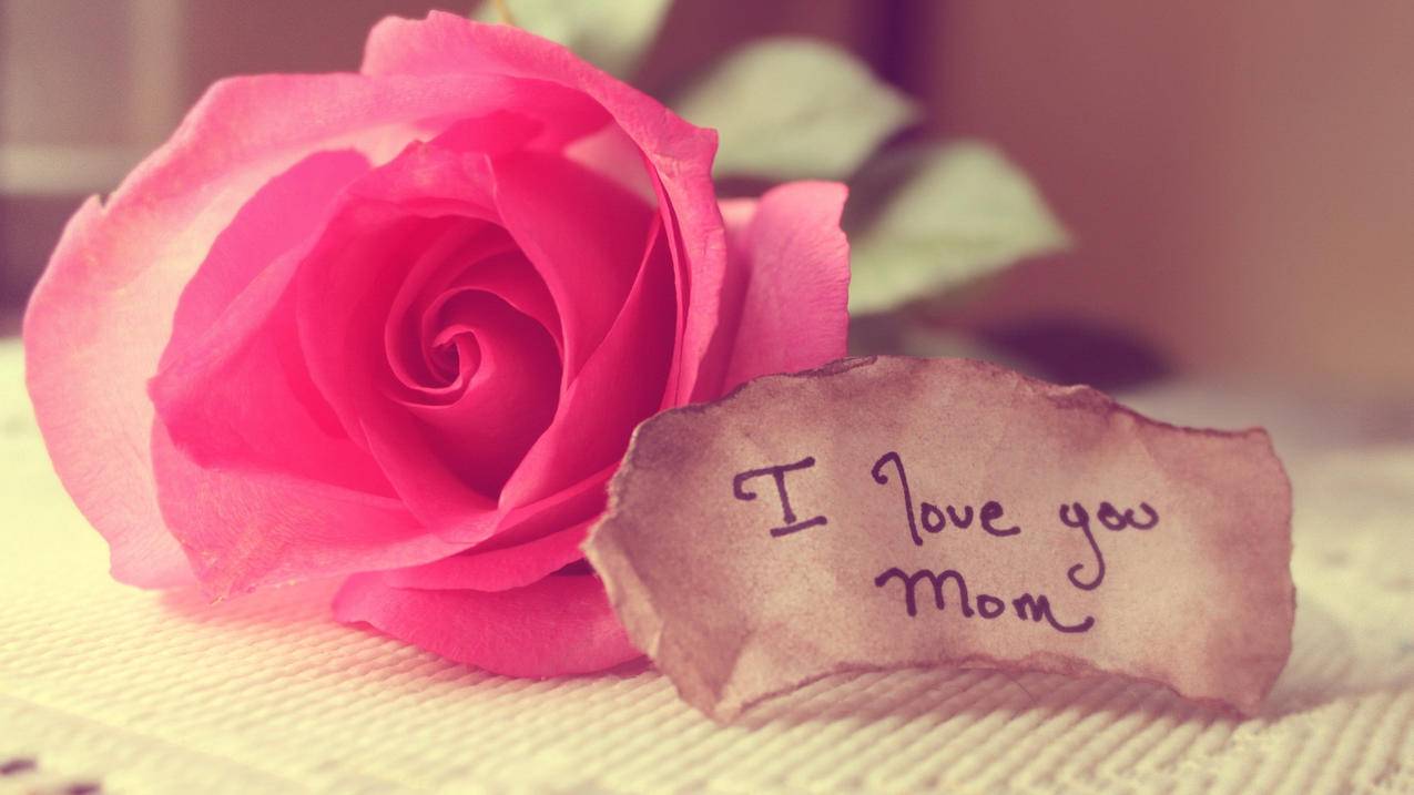 越南苹果id为啥退不出来 - 各区苹果ID - 55dz账号网