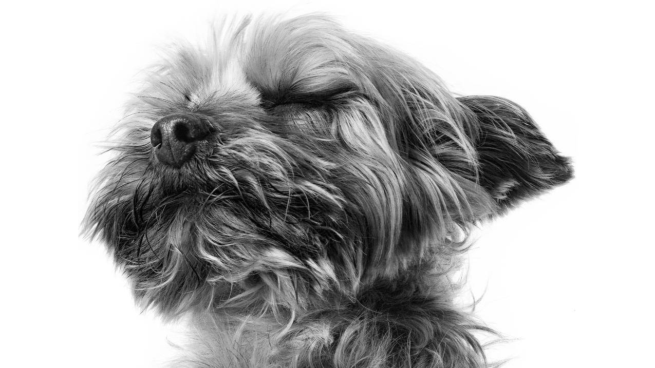 qq邮箱无法验证越南苹果id（苹果邮箱无法验证qq邮箱） - 各区苹果ID - 55dz账号网