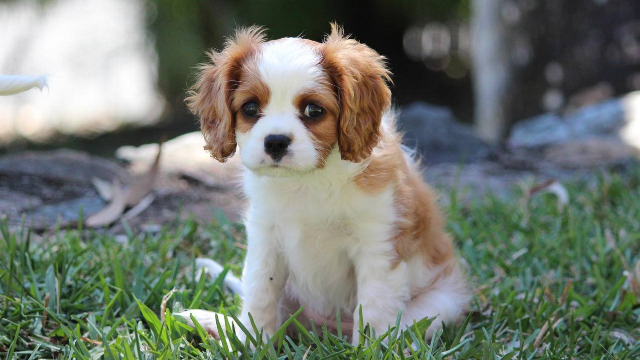 手机怎么建邮箱账号_怎么创建邮箱账号手机 - gmail相关 - 55dz账号网