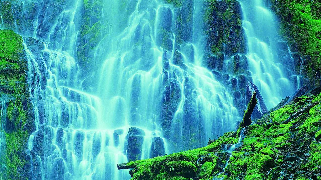 苹果id怎么退出登录 ， 苹果id怎么退出登录?  - 55dz账号网