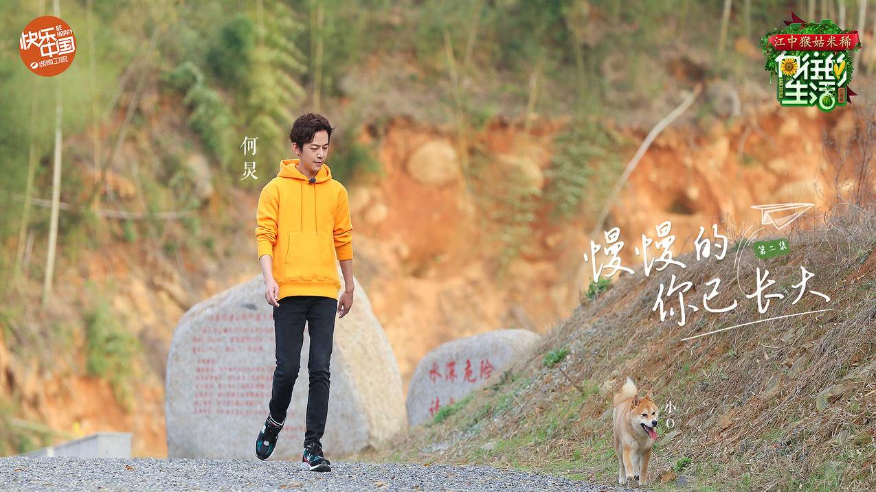 千川如何查看别人的数据？ - ks自助下单 - ks业务下单