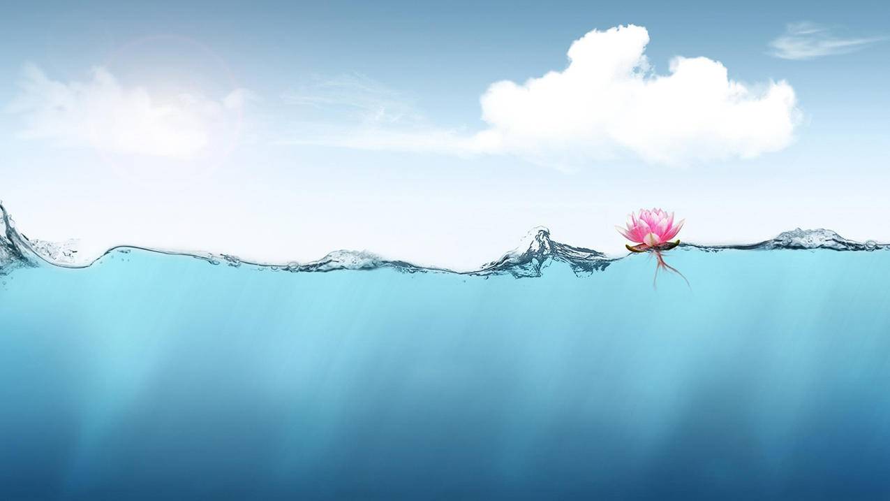 谷歌chrome浏览器字体模糊看不清该怎么办?  ( 为什么谷歌浏览器字体会变残缺呢? ) - 55dz账号网