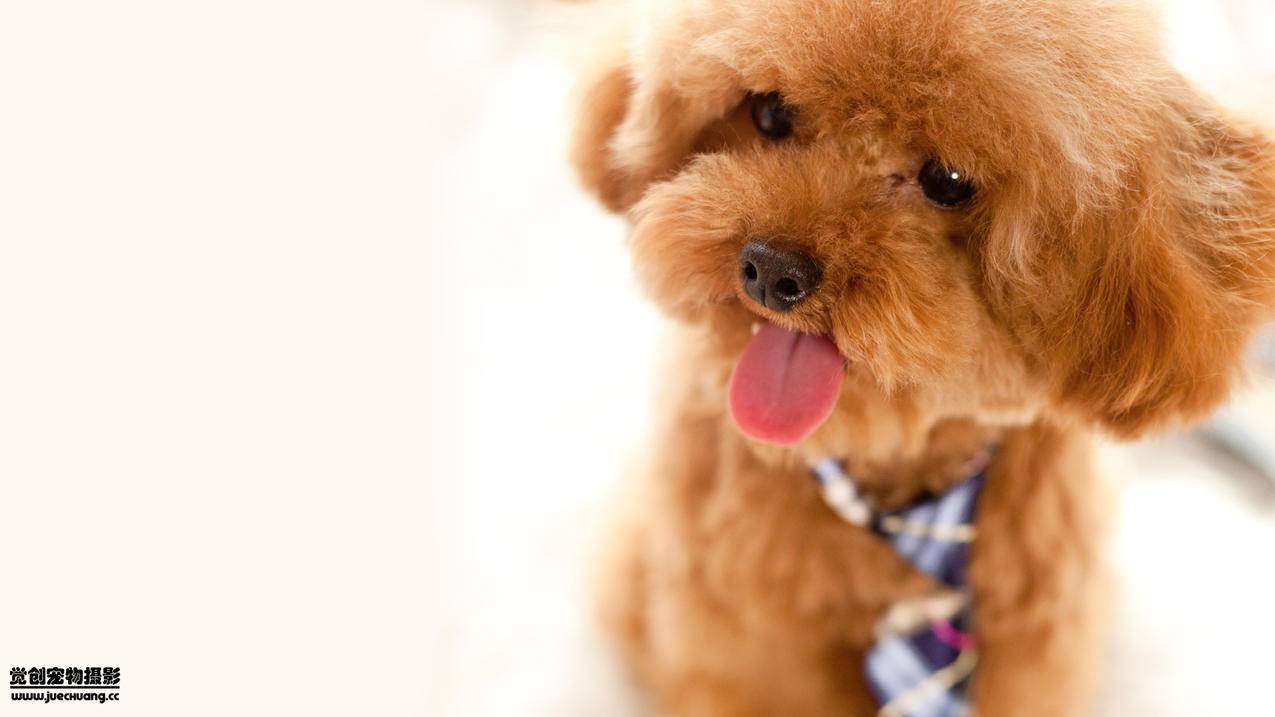 香港苹果id密码忘了手机号注销了_香港苹果id密码忘了手机号注销了怎么办 - 香港苹果ID - 55dz账号网