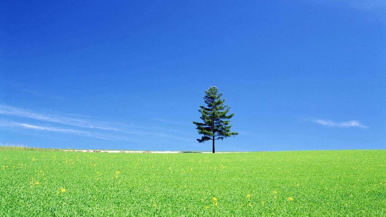 探索iOS TikTok小火箭  ( 小火箭怎么在ios上下载? ) - 55dz账号网