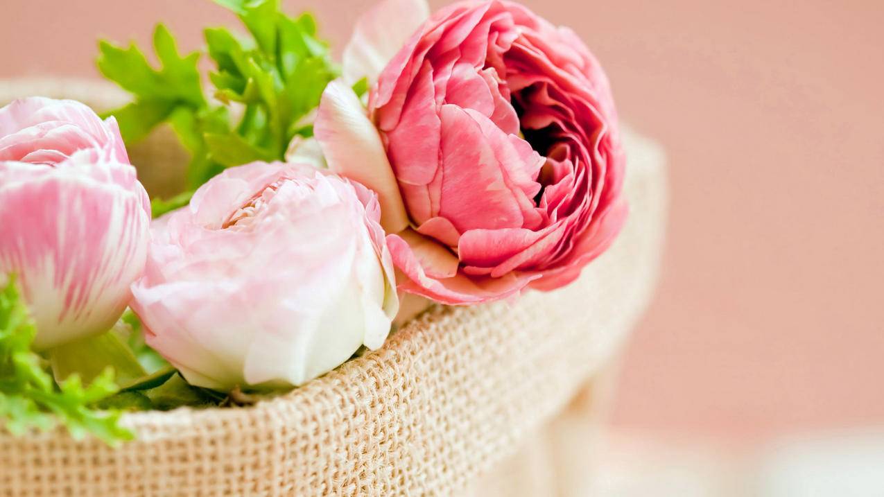 悦游加速器免费版就可以上facebook,为什么还要买 ( 什么加速器最好用 ) - 55dz账号网