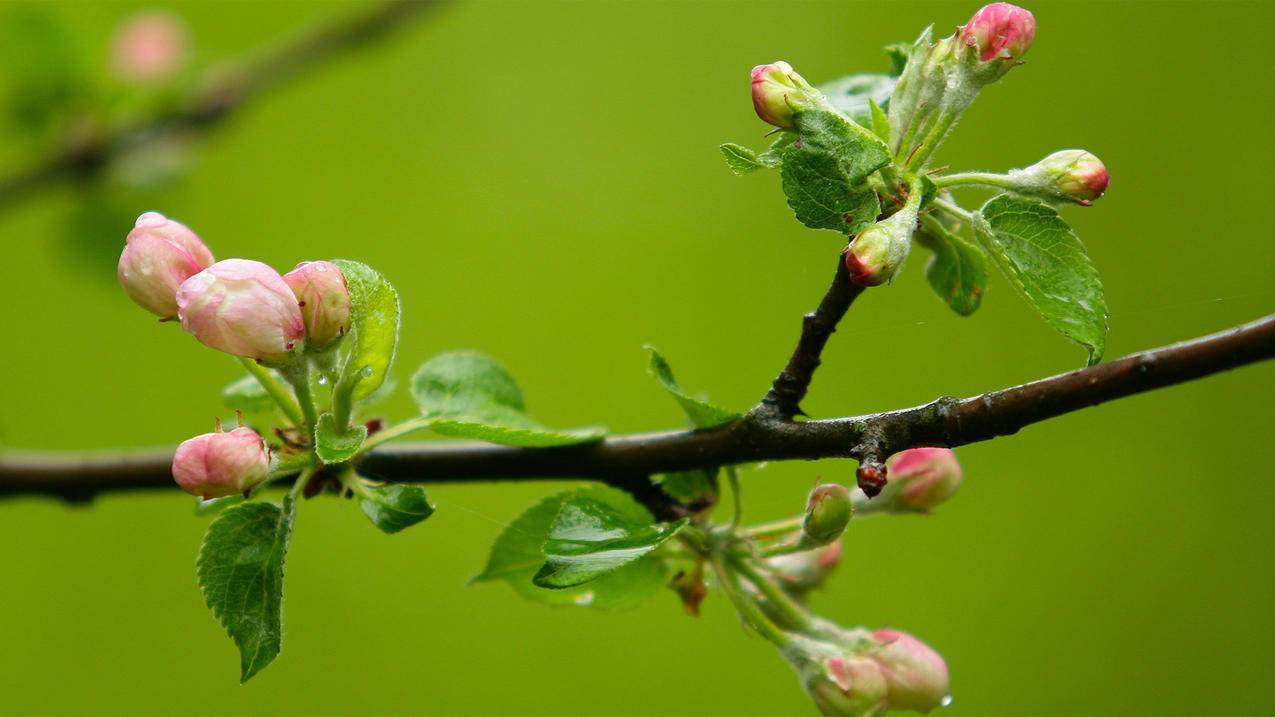 手机号换了台湾苹果id要换吗_iphone怎么换台湾id - 台湾苹果ID - 55dz账号网