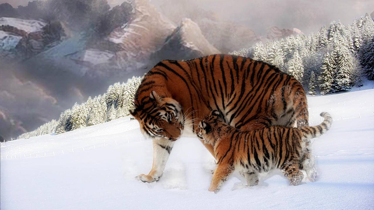 五元QQ刷赞-快手刷赞业务网站平台低价小林,空间刷赞说说免费,子萧刷快手粉丝