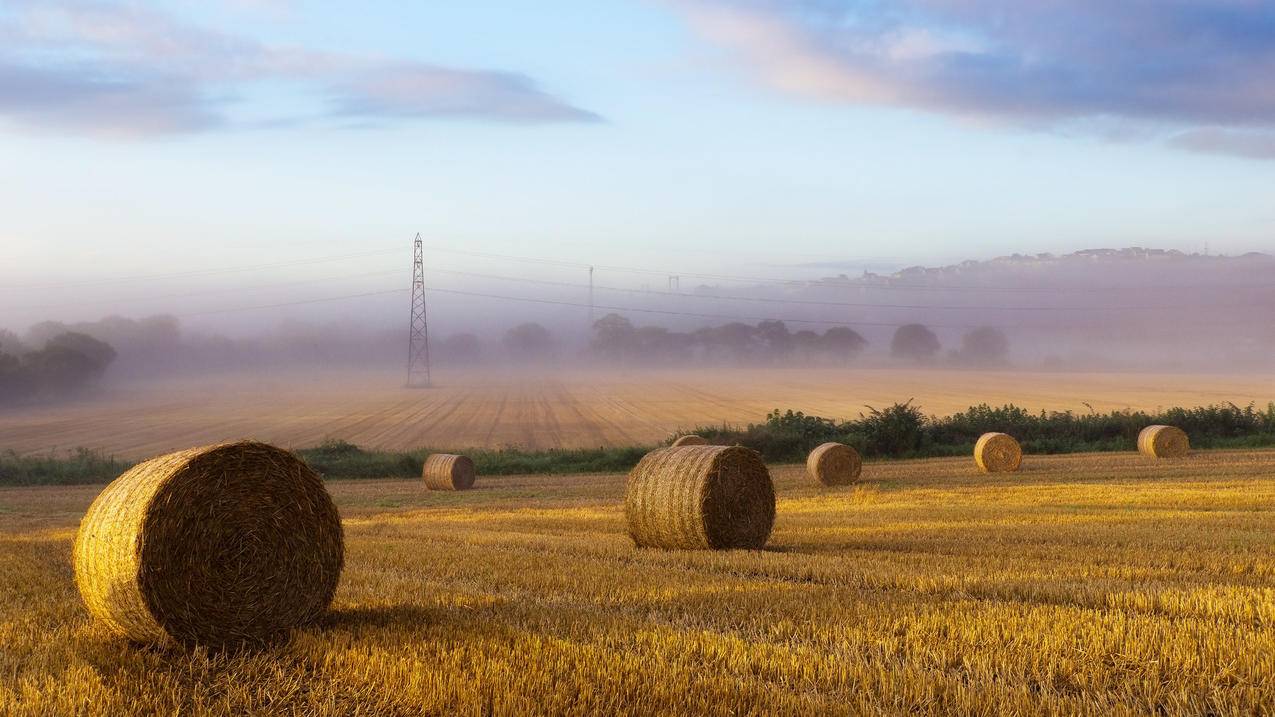 1元3万空间访客量下单 - qq空间加刷赞_小八qq刷赞