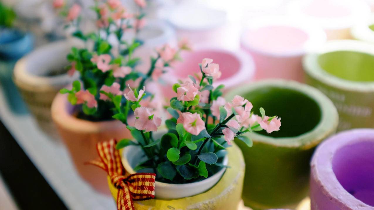 日本苹果id注册电话号码无法创建账户_苹果手机注册日本id怎么注册 - 日本苹果ID - 55dz账号网