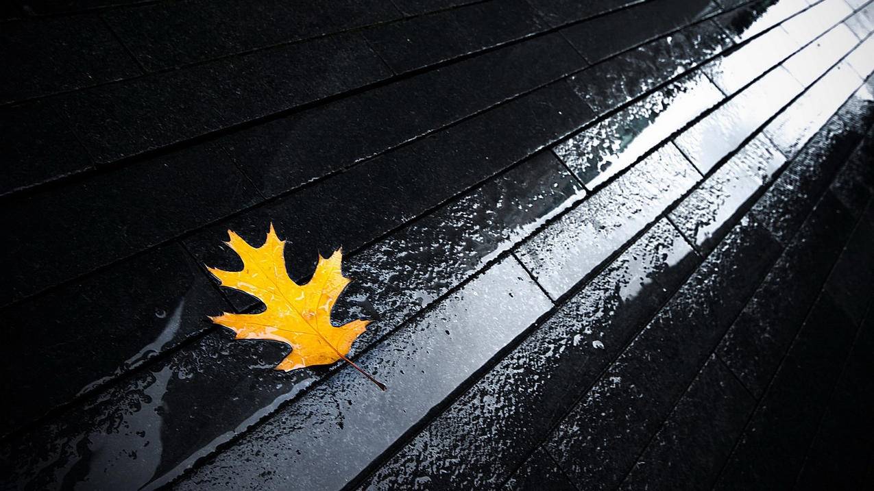 日本appleid睡醒后发现锁定是什么意思_苹果手机id锁死了 - 日本苹果ID - 55dz账号网