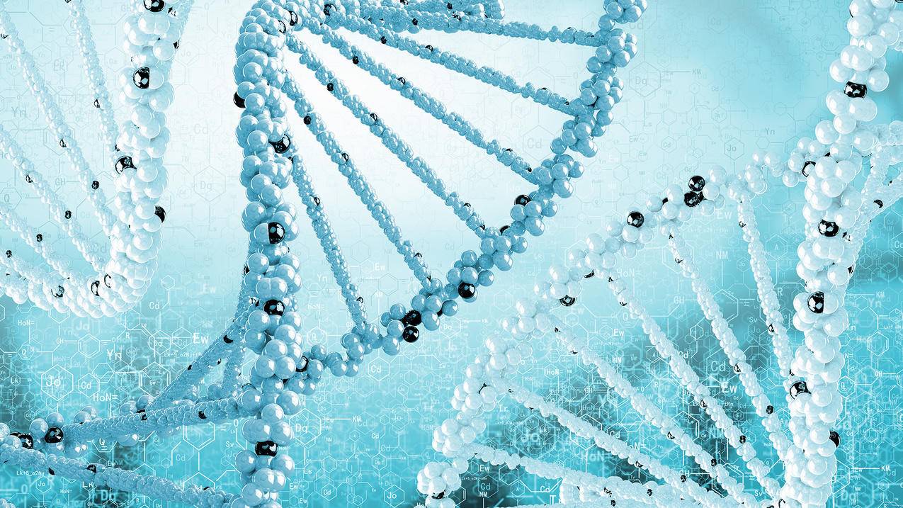 爱奇艺电脑看没有弹幕了_电脑上看爱奇艺没有弹幕 - 新闻中心 - 55dz账号网