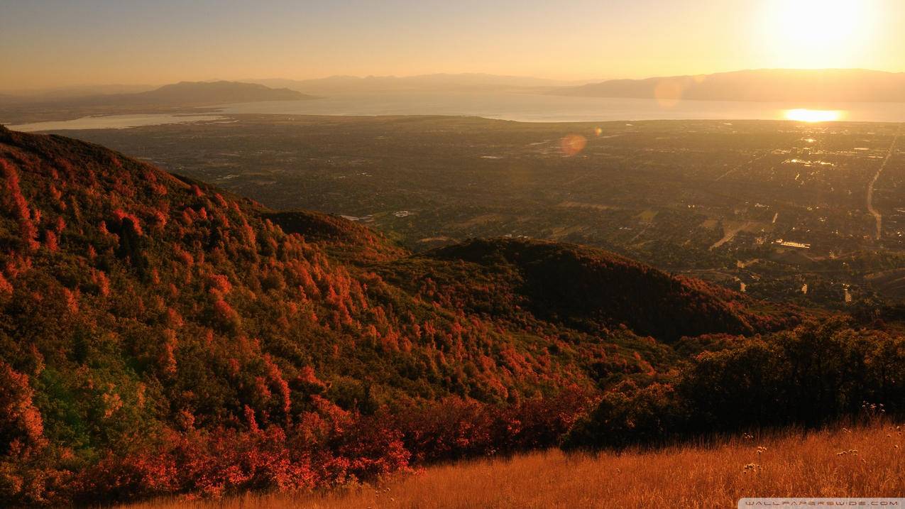 韩国appleid双重验证手机号换了_上海这雨要下到什么时候 - 韩国苹果id - 55dz账号网