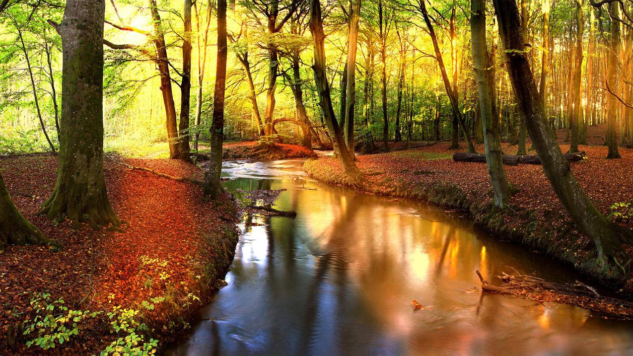 fifaonline4转会市场怎么买人_fifaonline4转会市场机制 - Line相关 - 55dz账号网