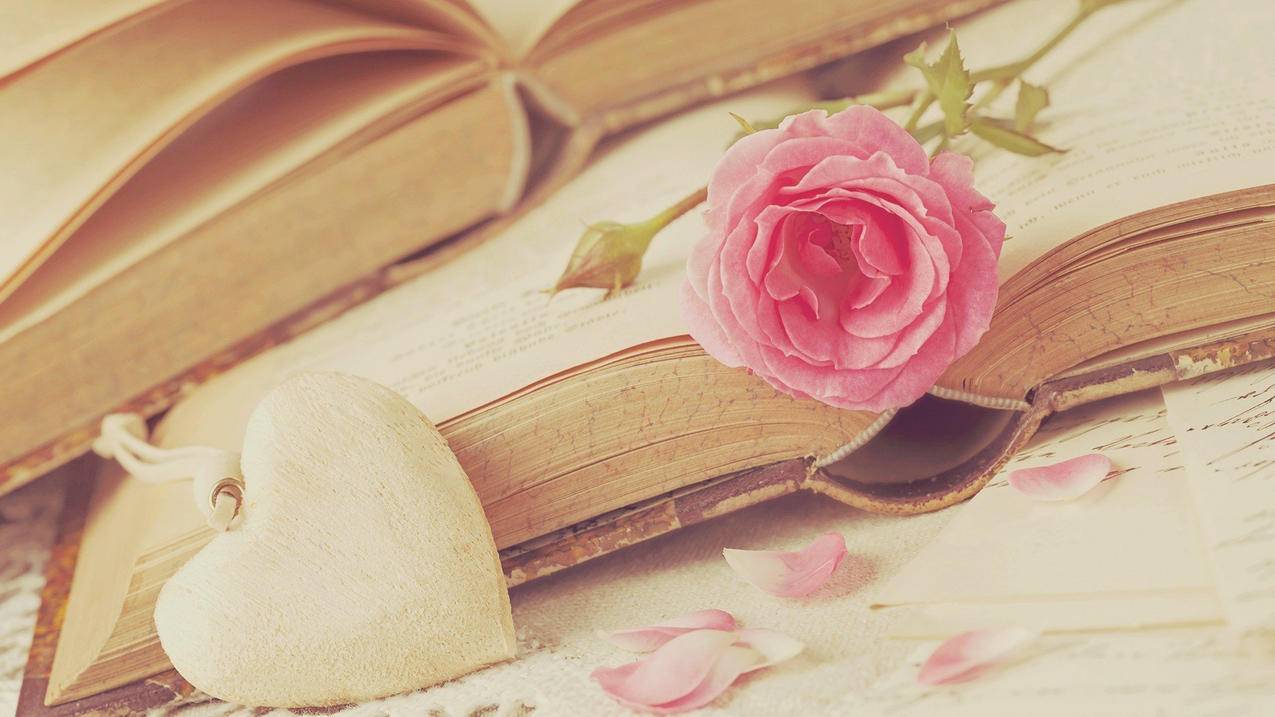 小火箭ultra怎么用  ( 下载了小火箭怎么使用教程 ) - 55dz账号网