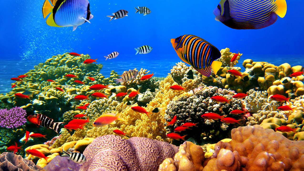 QQ快手刷业务网 - 快手福利区刷赞网站-空间刷赞软件吧