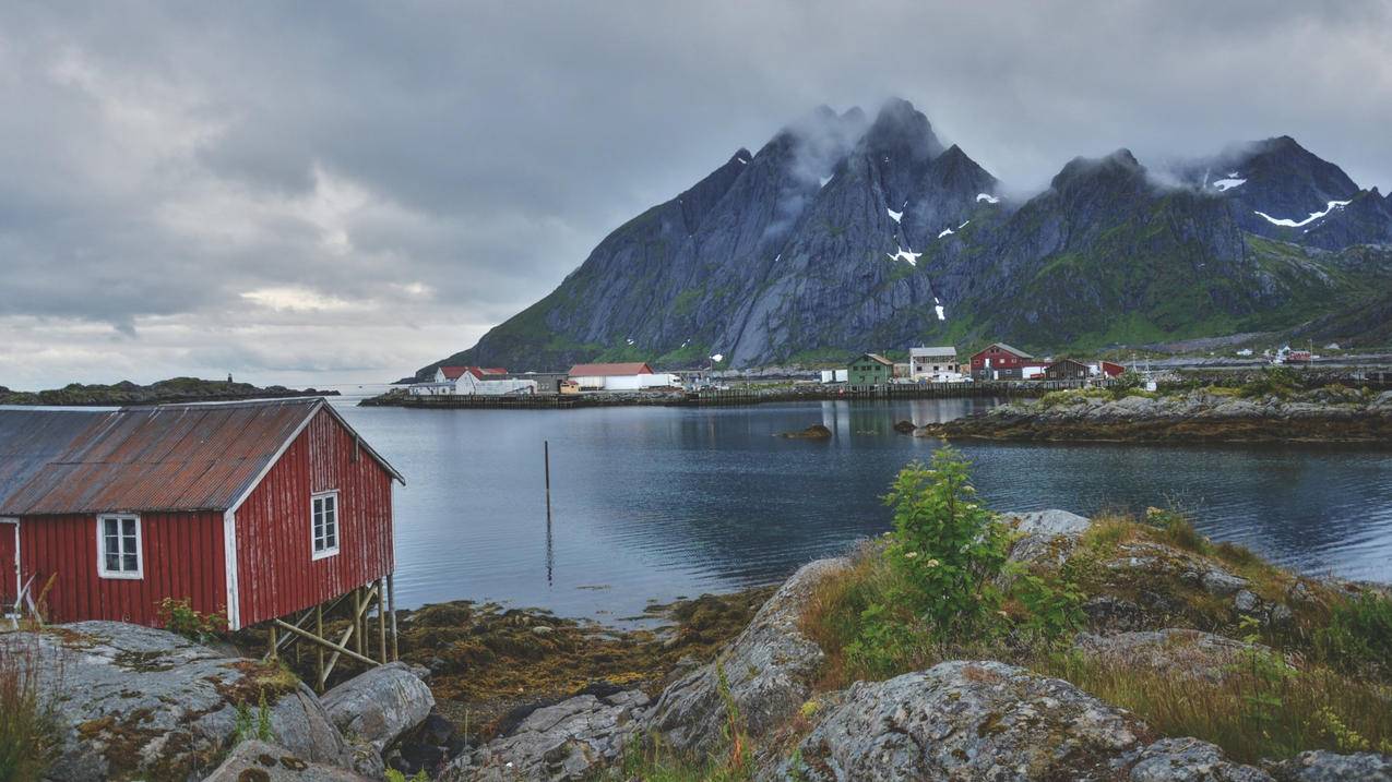 如何有效使用小学洋葱数学进行教学？ - 小学教育 - ks24小时自助