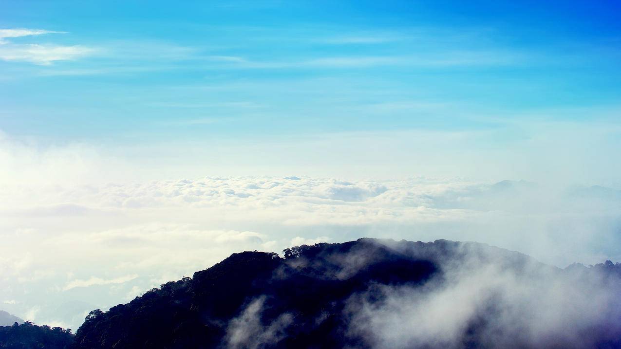 高中数学老学霸都推荐哪些书？ - 自助下单ks - ks24小时自助