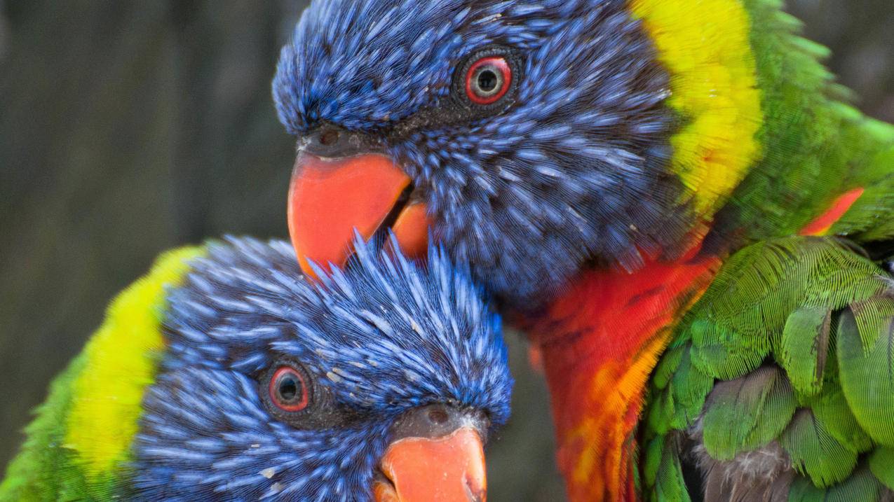 耐克zoomfly5和zoomfly4什么区别_耐克zoom fly4 - zoom相关 - 55dz账号网