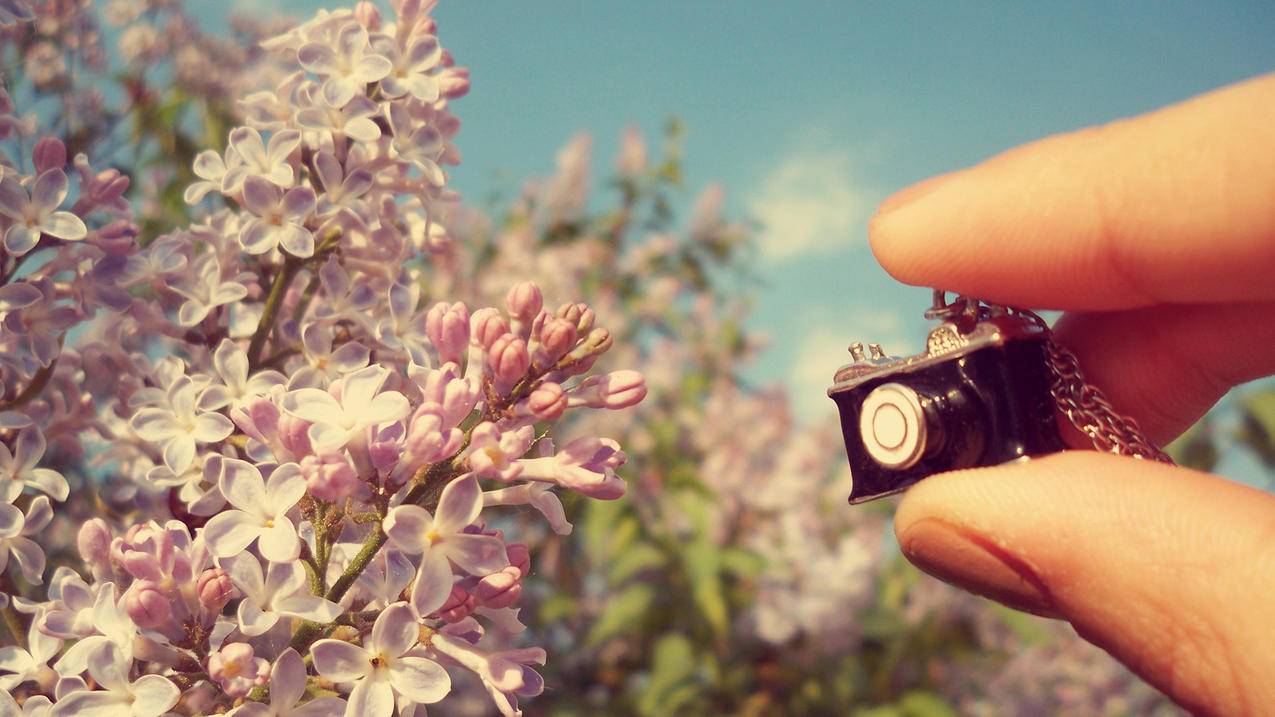 vivo手机怎么登陆google账号_vivo谷歌账号登录 - google相关 - 55dz账号网