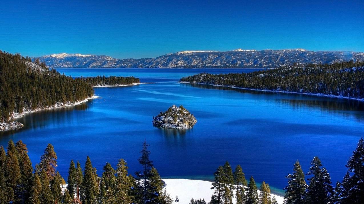 全网低价刷赞业务 - 喵喵代网刷站,小红书刷赞,抖音刷赞平台全网最低