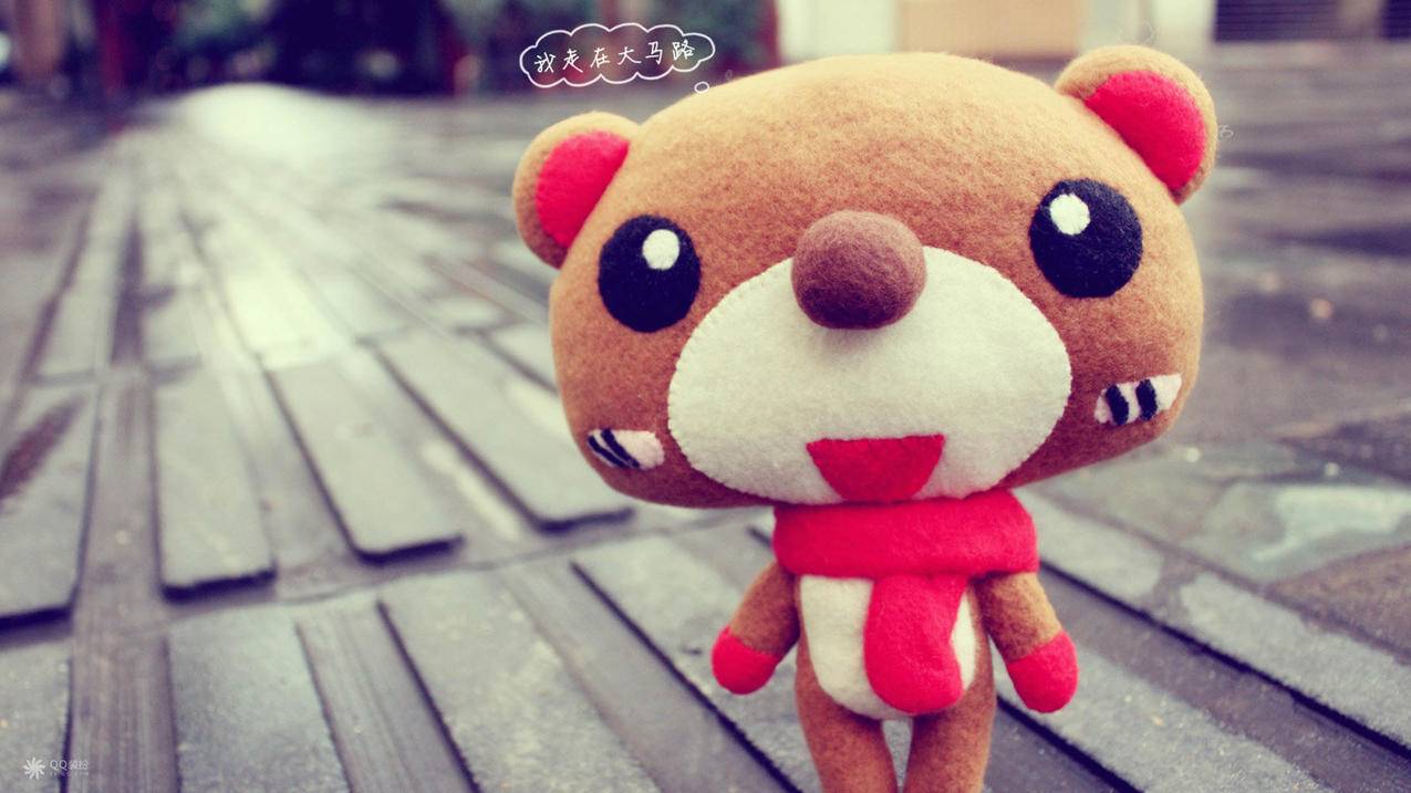 zoom视频滤镜是空的_相机上zoom - zoom相关 - 55dz账号网