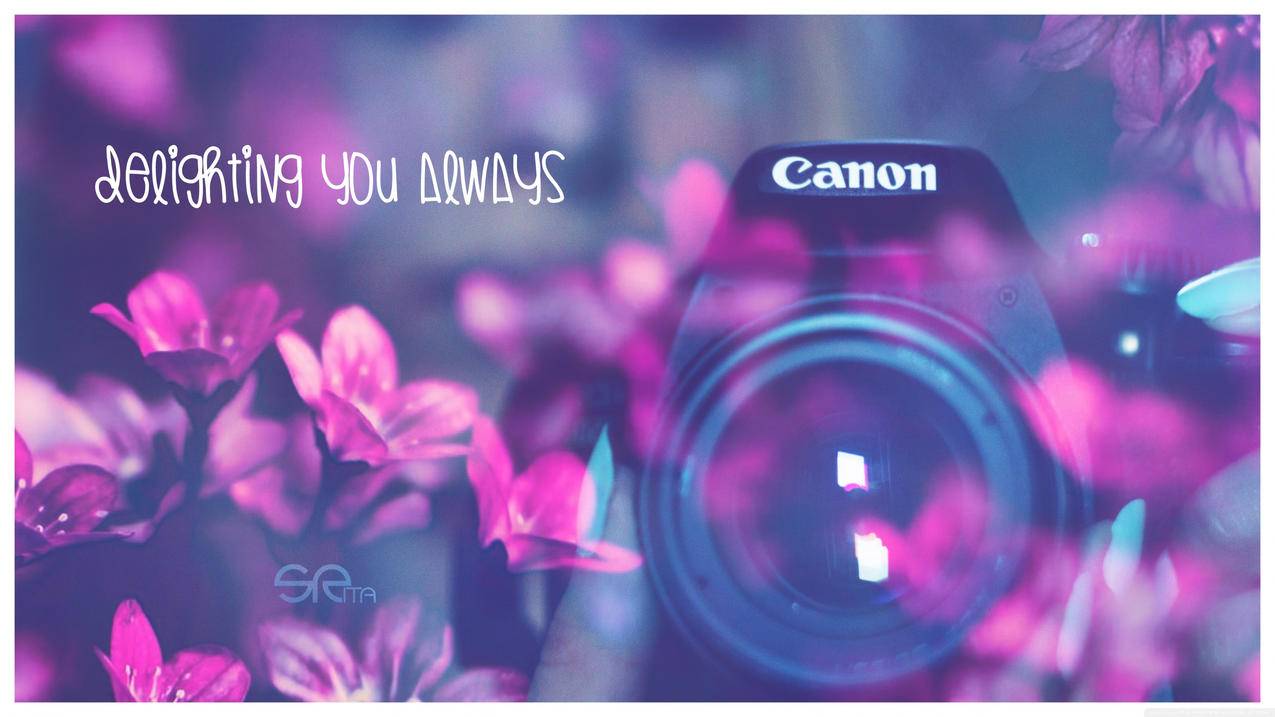 千川如何设置投放时间？ - 自助下单平台 - ks业务网