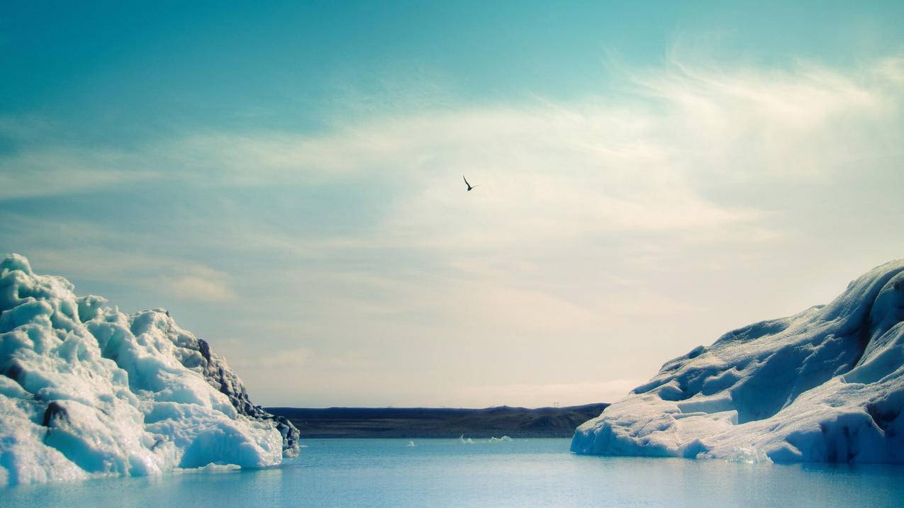 推特更改隐私和设置和安全设置_推特怎么更改隐私与安全设置 - tw相关 - 55dz账号网